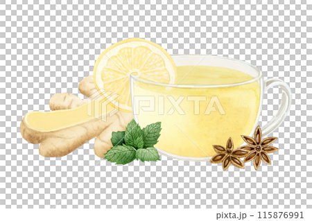 Healing herbal dinger tea in glass cup with lemon, spearmint and star anise illustration isolated on white. Hot vegan beverage of organic ingredients against flu and cold. Hand drawn clipart Healing herbal dinger tea in glass cup with lemon, spearmint and star anise illustration isolated on white. Hot vegan beverage of organic ingredients against flu and cold. Hand drawn clipart 115876991