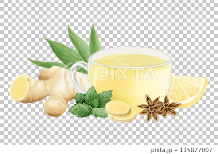 Vegan herbal tea in glass cup with ginger, lemon, spearmint and star anise illustration isolated on white. Hot healing beverage of organic ingredients against flu and cold. Hand drawn clipart 115877007