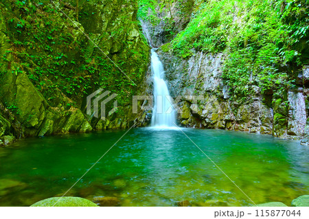滝から吹き上げる風が気持ちい 識呂の滝 滝から吹き上げる風が気持ちい 識呂の滝 115877044
