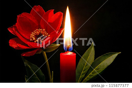burning red candle on a background of a flower close-up 115877377