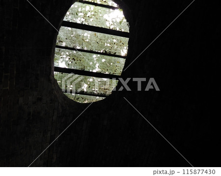 横川・メガネ橋・碓氷湖 115877430