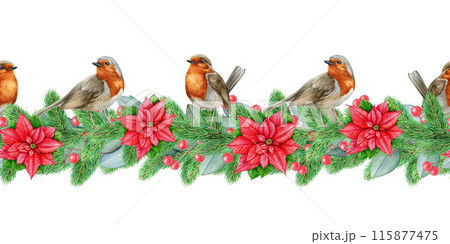 Winter season seamless border with birds. Watercolor vintage style illustration. Christmas time decor seamless border with robin birds, poinsettia flower, pine, eucalyptus, berries. White background 115877475