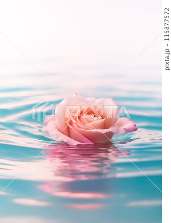 水面に浮かぶバラの花 115877572