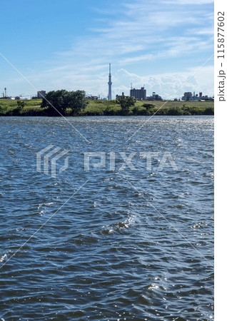 <千葉県>里見公園(市川) <千葉県>里見公園(市川) 115877602