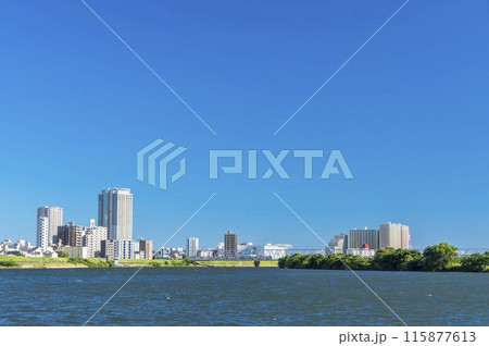 ＜千葉県＞里見公園(市川) 115877613