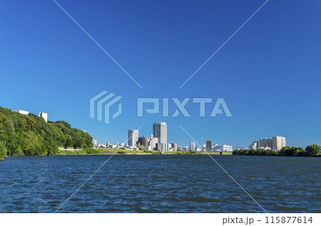<千葉県>里見公園(市川) <千葉県>里見公園(市川) 115877614
