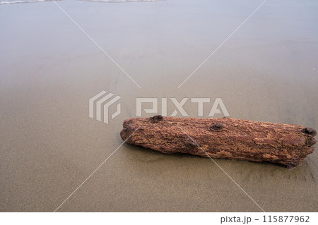 砂浜に打ち上げられた流木 115877962