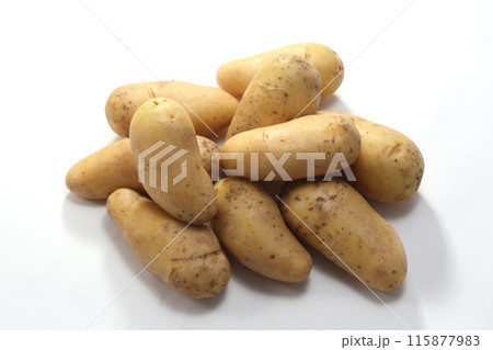 メークイン 新じゃがいも メークイン 新じゃがいも 115877983