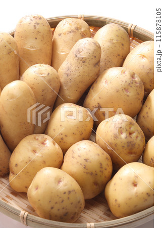 男爵芋 メークイン 新じゃがいも 男爵芋 メークイン 新じゃがいも 115878105