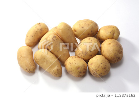 男爵芋 メークイン 新じゃがいも 男爵芋 メークイン 新じゃがいも 115878162