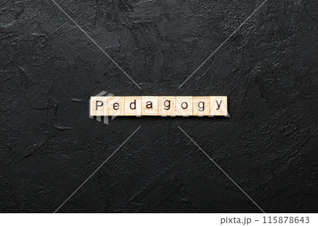 Pedagogy word written on wood block. Pedagogy text on cement table for your desing, concept Pedagogy word written on wood block. Pedagogy text on cement table for your desing, concept 115878643