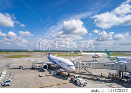 新千歳空港　国内線ターミナル 115878887