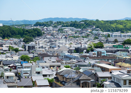 奈良市街の風景（東大寺付近） 115879299