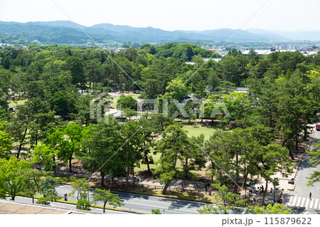 奈良公園 115879622