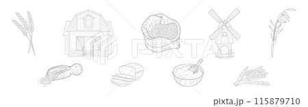 Wheat Grain Farm and Rural Crop Harvest Vector Set 115879710