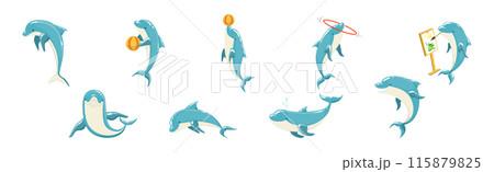 Blue Bottlenose Dolphin Performing Show Trick Vector Set 115879825