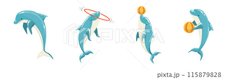 Blue Bottlenose Dolphin Performing Show Trick Vector Set 115879828