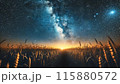 星空に舞い上がる龍 115880572