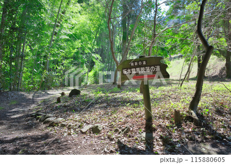 坂本龍馬脱藩の道 115880605