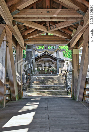 三嶋神社に通じる神幸橋 三嶋神社に通じる神幸橋 115880686