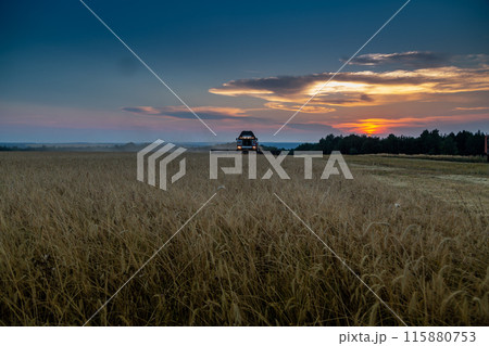 Combine harvester harvests wheat at sunset 115880753