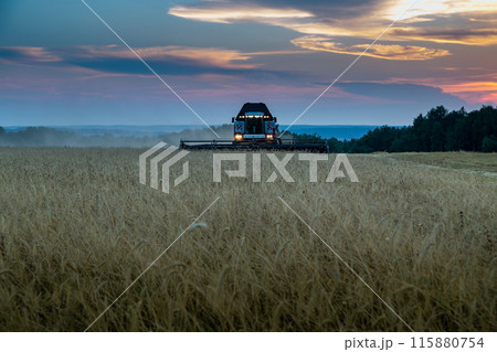 Combine harvester harvests wheat at sunset 115880754