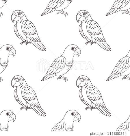 Seamless pattern, linear drawings of tropical parrots on a white background. Cute macaw birds. Design for textile, background, print 115880854