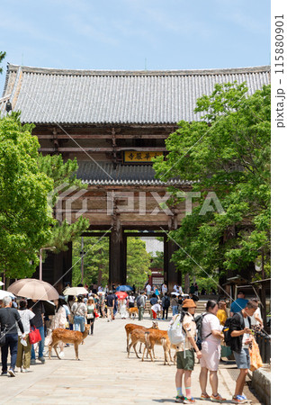 奈良の東大寺南大門 115880901