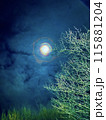 月の宴 115881204
