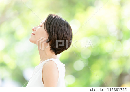 ビューティー　新緑　見上げる 115881735