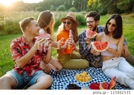 Cheerful company on sunny meadow at picnic is resting, drinking beer, cheers. Holliday concept. 115882535