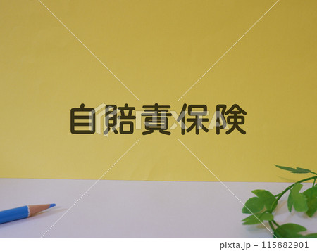 自賠責保険のアイキャッチ画像 自賠責保険のアイキャッチ画像 115882901