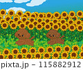 ひまわり畑で走り回っているトイプードル 115882912