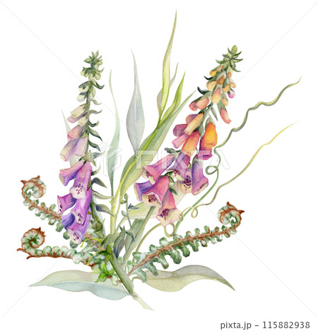 Hand drawn watercolor illustration botanical flowers leaves. Willow eucalyptus branch, tendrils, fern shoots, foxglove snapdragon lupin. Bouquet isolated white background. Design wedding, love cards Hand drawn watercolor illustration botanical flowers leaves. Willow eucalyptus branch, tendrils, fern shoots, foxglove snapdragon lupin. Bouquet isolated white background. Design wedding, love cards 115882938