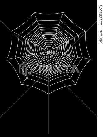 蜘蛛がいない雨の雫のついた大きな白い巣のイラスト 115883978