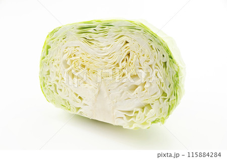 半分に切ったキャベツ 半分に切ったキャベツ 115884284