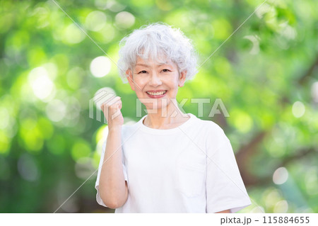 新緑　女性　グレーヘア 115884655