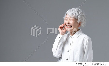 グレーヘアの女性 ポートレート グレーヘアの女性 ポートレート 115884777