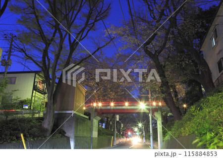 田園調布本町 桜坂 桜橋 夕景 115884853