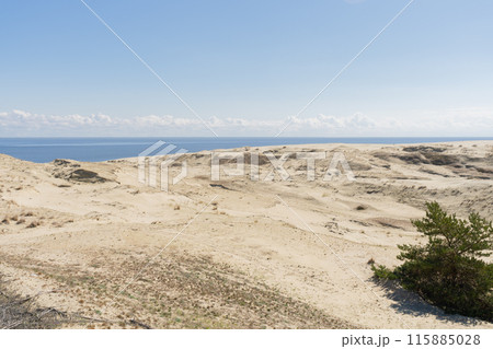 View from Efa height of the Staroderevenskaya Dune and the Baltic Sea on a sunny day, Curonian Spit, Kaliningrad region, Russia. View from Efa height of the Staroderevenskaya Dune and the Baltic Sea on a sunny day, Curonian Spit, Kaliningrad region, Russia. 115885028