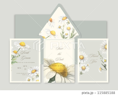 Luxury wedding invitation card background with watercolor flower chamomile. 115885188