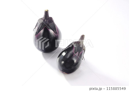 新鮮な茄子 115885549