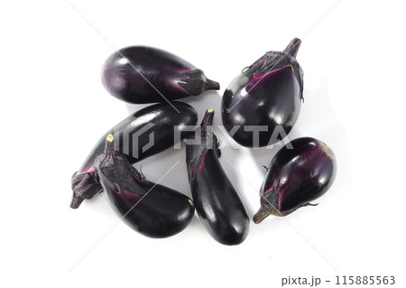 新鮮な茄子 新鮮な茄子 115885563