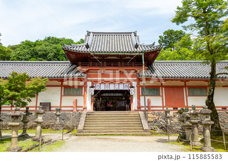 奈良・手向山八幡宮 奈良・手向山八幡宮 115885583