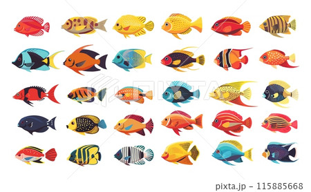 Ocean fish cartoon vector set. Cod perch herring tuna fins snorkeling coral sea animal creatures isolated on white background 115885668