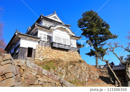 【岡山県】備中松山城（現存天守） 115886308