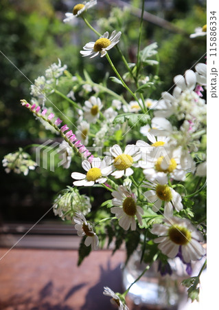 庭の白い花を生ける 庭の白い花を生ける 115886334