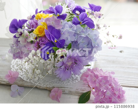 青のパンジーとアジサイ 青のパンジーとアジサイ 115886938