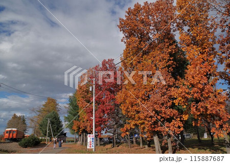 国鉄旧幸福駅跡秋色の紅葉1 国鉄旧幸福駅跡秋色の紅葉1 115887687