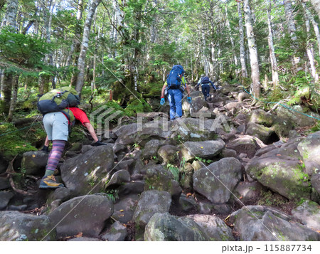 長野県八ヶ岳連峰の最北端の蓼科山の岩ゴロゴロのガレ場の登山道を登る登山者 115887734